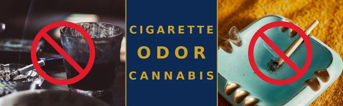 Cigarette and cannabis smoke odor removal